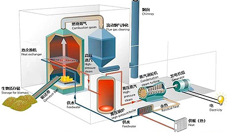 生物質發電的投資分析