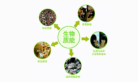 生物質發電的投資分析