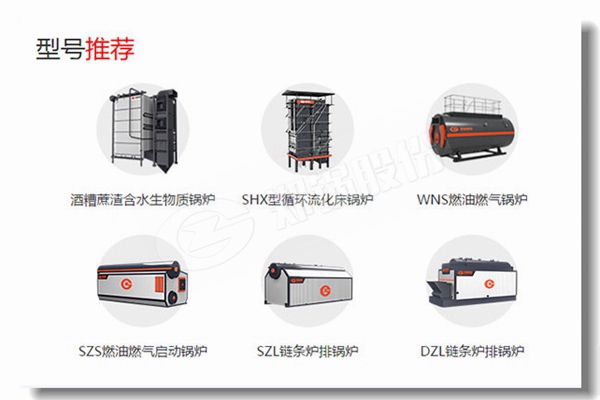 武漢專業生物質蒸汽鍋爐找哪家？